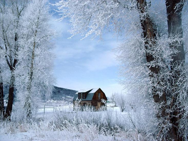 TAPETY WIDOKI - Winter Wonderland, Steamboat Springs, Colorado.jpg