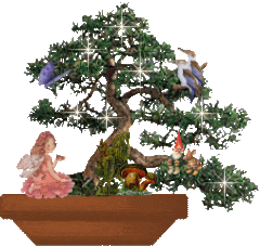 ZDJĘCIA - Drzewko bonsai.gif