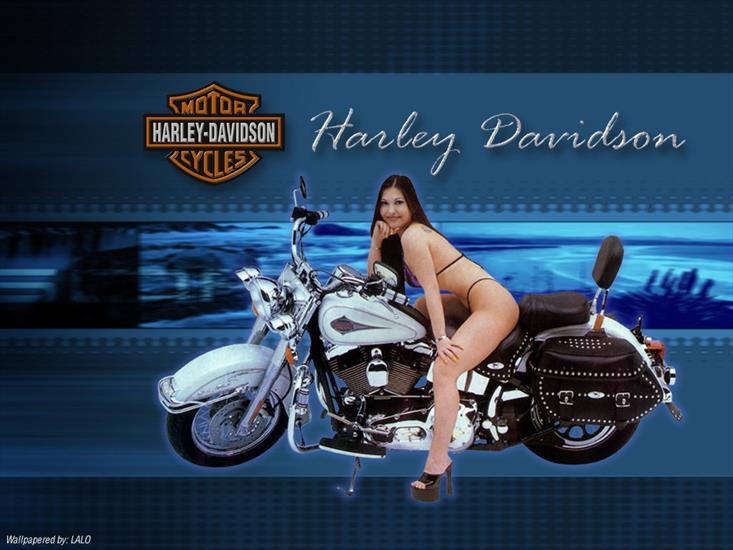 Motoryzacja - motos_harley_davidson_002.jpg