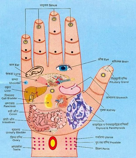 refleksologia - dłoń i receptory Shiatsu Self Massage - Mo  Receptory.jpg