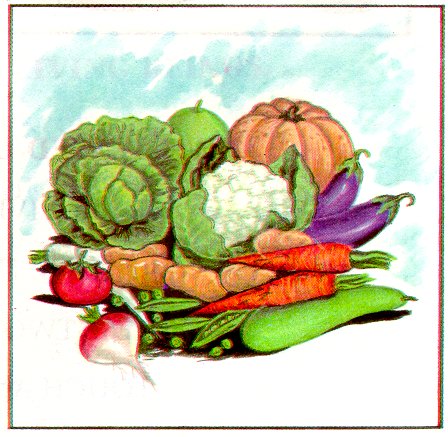 Warzywa i owoce - vegetables2.jpg