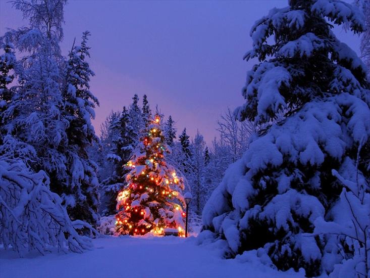 Świąteczne gify,obrazki - s4184_cold_christmas-1024x768.jpg