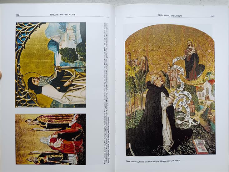 Malarstwo gotyckie w Polsce - tom 3 - IMG_20240225_161004.jpg