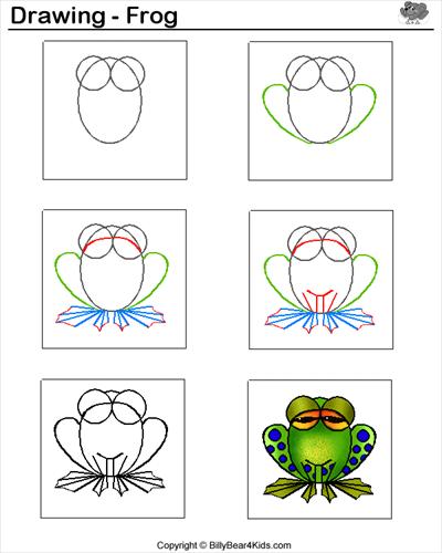 Zwierzęta - żaba.jpg