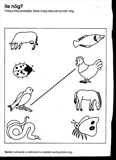 Terapia pedagogiczna - zwierzęta 015.jpg